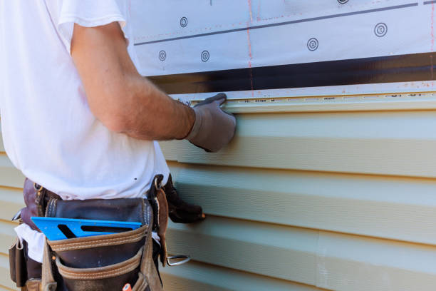 Affordable Vinyl Siding solutions in Willow Springs, IL